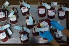 Stok Darah di UDD PMI...