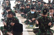 Dankormar Pimpin Langsung...