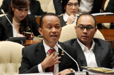Kurang dari Setahun,...