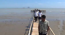 Ratusan Ikan Mendadak...