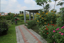 Larangan Mudik, Taman...