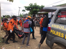 Pria Bertato Serangga...