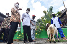 Kelompok Tani Desa Lantang...