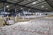 Harga CPO Membaik Bikin...