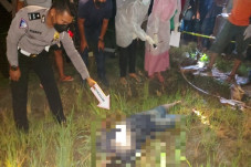 Blora Gempar, Jebakan...