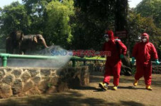16-17 Mei Ancol, TMII,...