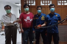 Gigit Hewan Peliharaan...