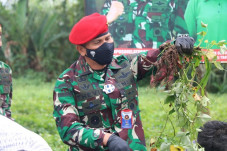 Ubah Lahan Kosong Menjadi...