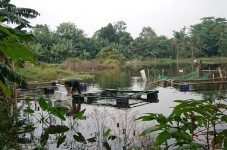 Produktif di Masa Pendemi,...