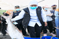 Gubernur Khofifah Dorong...