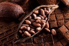 Flavanol pada Cokelat...