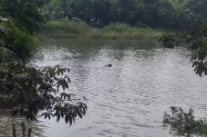 Helikopter Latih Jatuh...