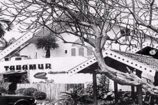 Tanamur, Diskotek Tertua...