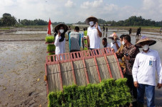 Lewat Program Agro Solution...