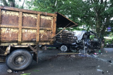Adu Kambing Dump Truk...