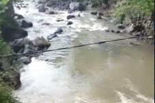 Diduga Terjatuh dari...