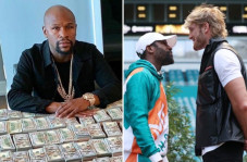 Mayweather vs Logan...
