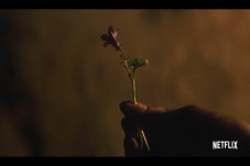 Kingdom: Ashin of the...