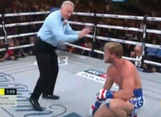 Mayweather KO Logan...