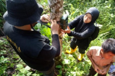 Warga Agam Gempar, Muncul...
