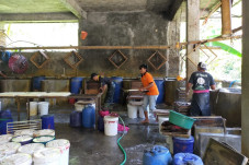 Begini Cara Karang Taruna...