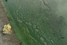 Sungai Gangga Menjadi...