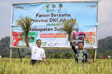 Anies Panen Raya Bersama...