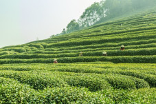 Sentuh Petani dengan...