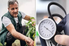 Aktivitas Berkebun Bisa...
