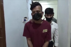 Curi Sawit Milik PTPN...