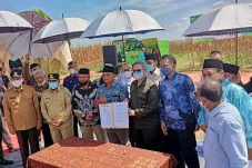 Panen Jagung Dihadiri...