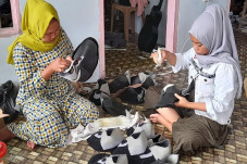 Desa Tematik Jadi Pemantik...