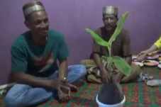 Jambi Gempar, Ada Buah...