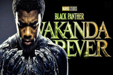 Black Panther: Wakanda...