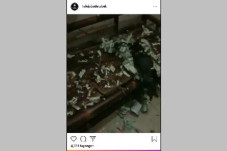 Cekcok Rumah Tangga,...