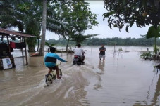Sungai Meluap, Puluhan...