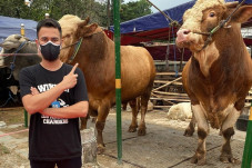 Raffi Ahmad Kurban 10...