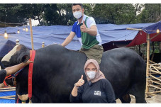 Raffi Ahmad Siap Kurbankan...