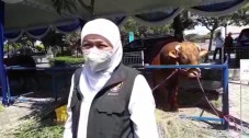 Gubernur Khofifah Kurban...