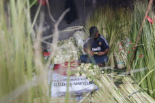 PPKM Darurat Belum Maksimal,...
