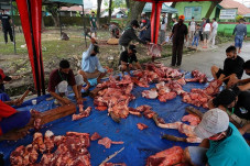 Korem 143/Halu Oleo...