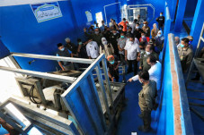 237 Sapi Kurban Disembelih...