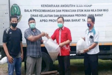 Budidaya Perikanan di...