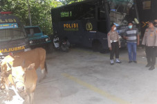 Polres Wajo Tangkap...