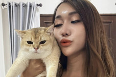 Setelah Waria Mercedes,...