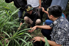Terungkap, PT Greenfields...