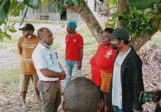 Komnas Papua HAM Investigasi...