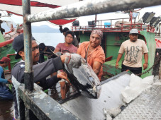 Sektor Perikanan Tumbuh...
