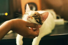 Serasa Punya Keajaiban,...