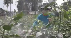 Hujan Abu Vulkanik Guyur...